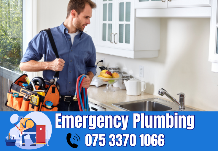  plumber Painters Ash